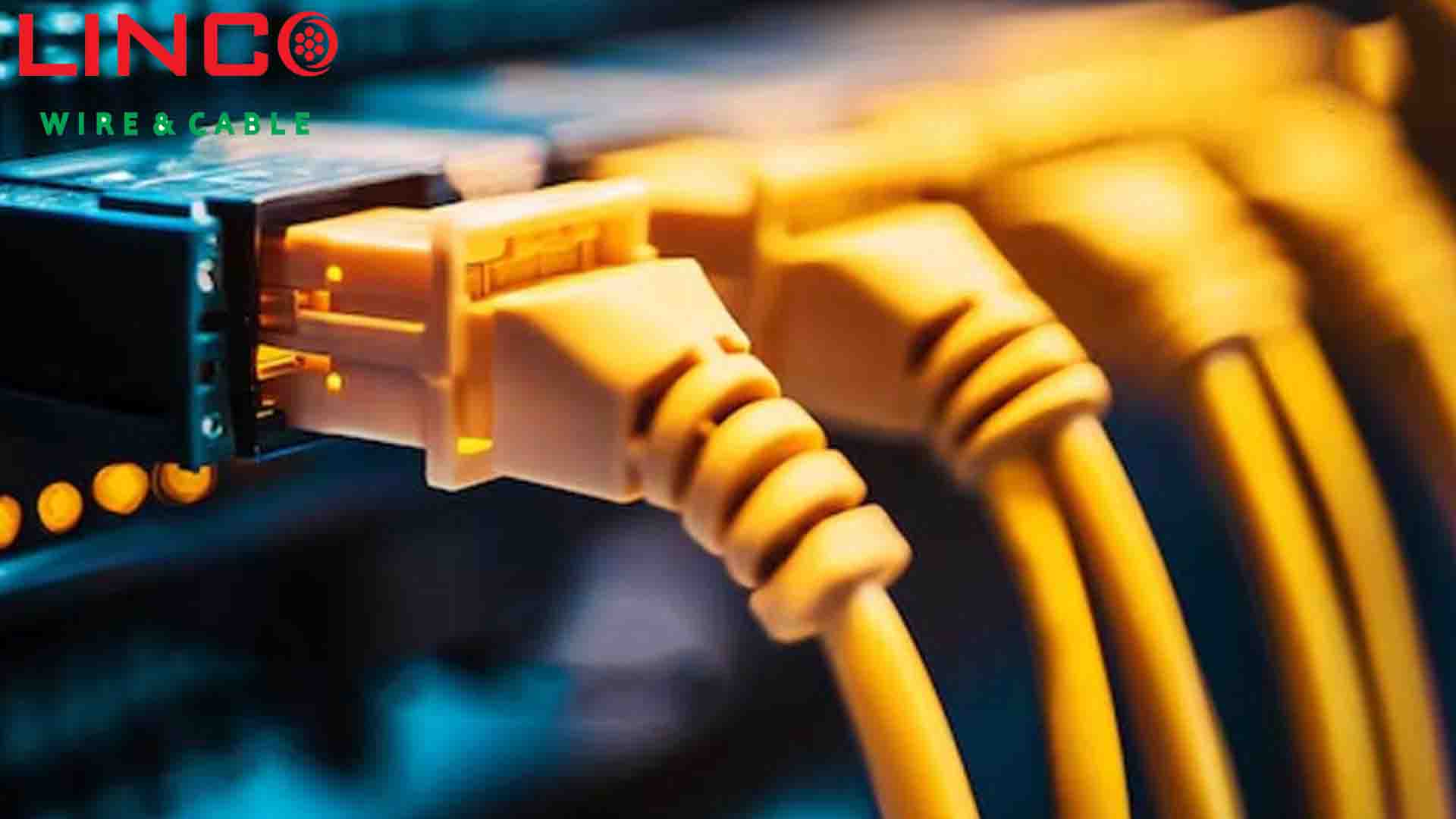 قیمت کابل شبکه